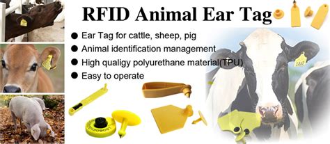 animal rfid sensor|rfid ear tag.